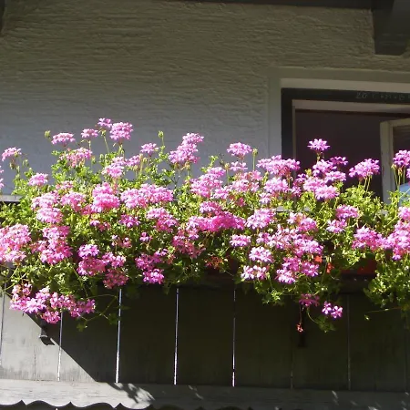 Appartement Meckyheim *