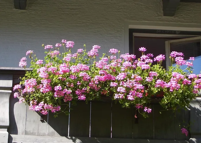 Апартаменты Meckyheim *